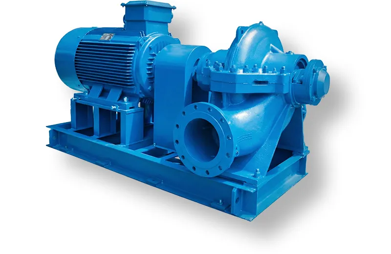 Центробежный насос Promnasos ES-100-250-3000 двойного всасывания